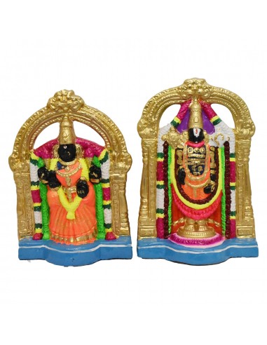 Srinivasa perumal & Padmavathi - 12"